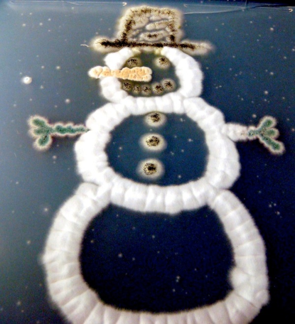 fungal-snowman
